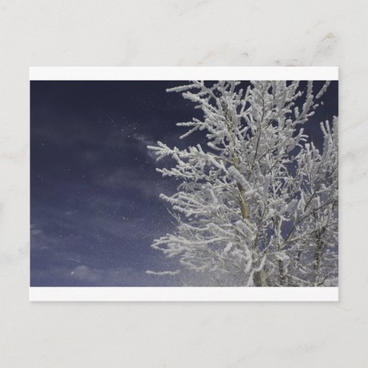 Winterpostkarte Postkarte (Vorderseite)