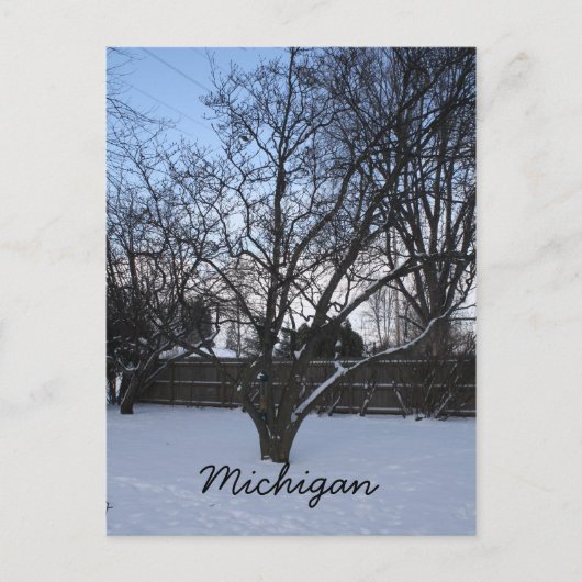 Winterpostkarte von Michigan Postkarte (Vorderseite)