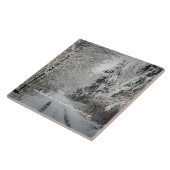 Winterreise durch das Wald Fliese (Seite)