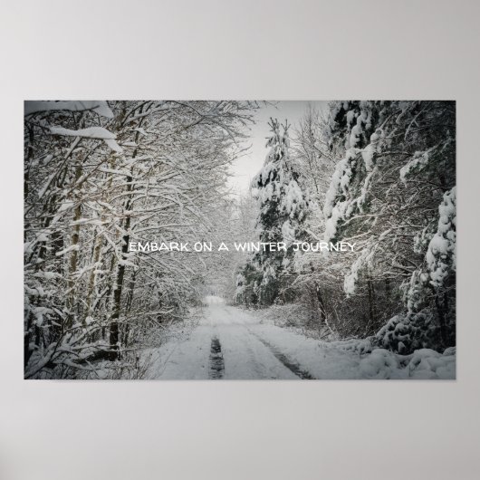Winterreise durch das Wald Poster (Vorne)