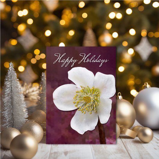 Winterrose – Weihnachtskarte Karte