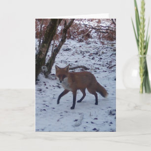 Winterroter Fuchs Wildlife – Personalisiert Karte
