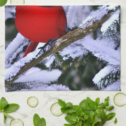 Winterroter Kardinal Geschirrtuch (Gefaltet)