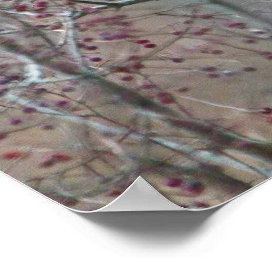 Winterroter Kardinal im Weinberge Tree Poster (Ecke)