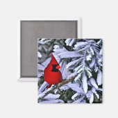 Winterroter Kardinal Magnet (Vorderseite/Rückseite)