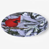 Winterroter Kardinal Pappteller (Schrägansicht)