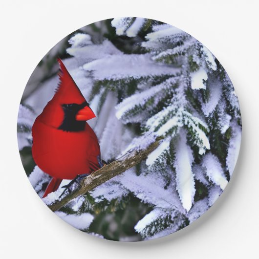 Winterroter Kardinal Pappteller (Vorderseite)