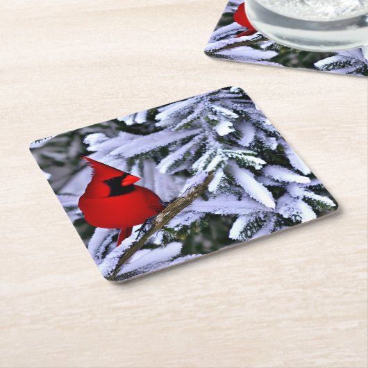 Winterroter Kardinal Rechteckiger Pappuntersetzer (angewinkelt)