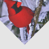 Winterroter Kardinal Seidenpapier (Ausschnitt)
