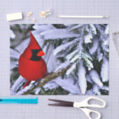 Winterroter Kardinal Seidenpapier (Handwerk)