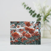 Winterrowan im Schnee Postkarte (Stehend Vorderseite)