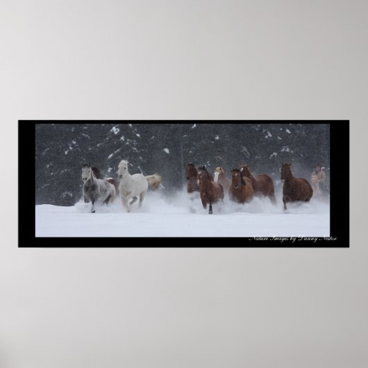 Winterrunde Poster (Vorne)