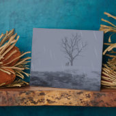 Winter's Chill Foto Plaque Fotoplatte (Seite)