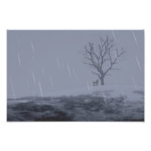 Winter's Chill Foto Print (Vorne)