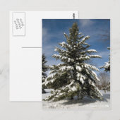 Winters kommen postkarte (Vorne/Hinten)