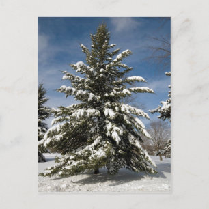 Winters kommen postkarte