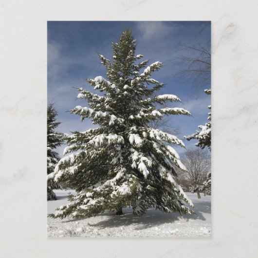 Winters kommen postkarte (Vorderseite)