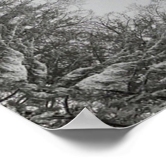 Winters Mandala Poster (Ecke)