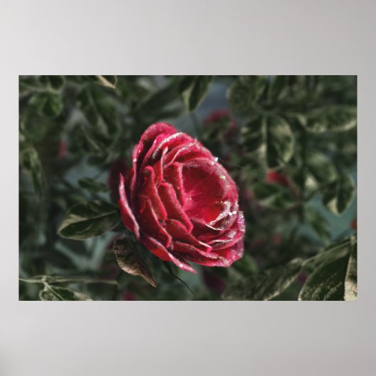 Winter's Parting Geschenk Print Poster (Vorne)