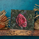 Winter's Parting Gift Foto Plaque Fotoplatte (Seite)