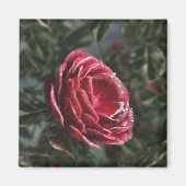 Winter's Parting Magnet (Vorne)