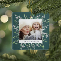 Wintersaison | Botanisches Foto