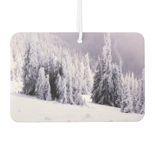 Wintersaisonfrischer Autolufterfrischer (Vorderseite)