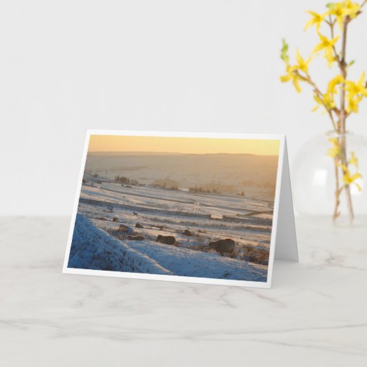 Winterschaf-Weihnachtskarte Karte (Gelbe Blume)