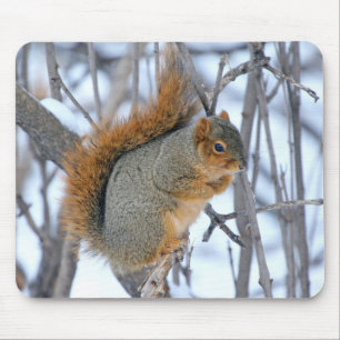 Winterscheißel Mousepad