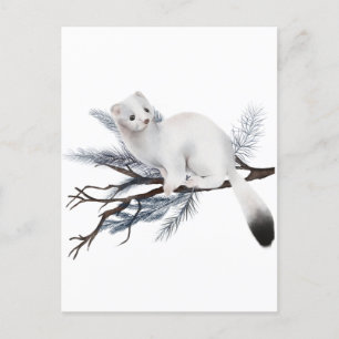 Winterscheißel Postkarte
