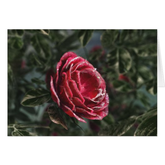 Winterschenkarte (Vorderseite (Horizontal))