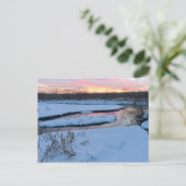 Winterschlacht in Wildlife Refugium Postkarte (Stehend Vorderseite)