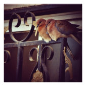 Winterschnecken Fotodruck (Vorne)