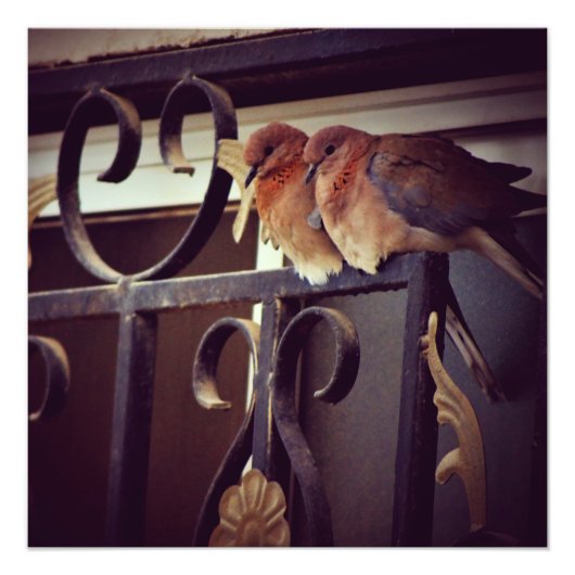 Winterschnecken Fotodruck (Vorne)