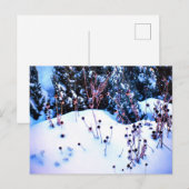 Winterschnee Blume Kopf Bäume Natur Postkarte (Vorne/Hinten)