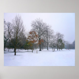 Winterschnee, Bute Park, Cardiff, Wales Poster