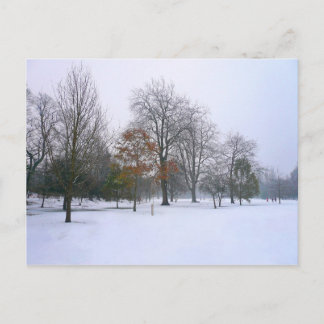 Winterschnee, Bute Park, Cardiff, Wales Postkarte