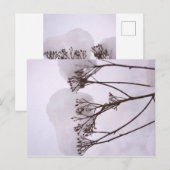 Winterschnee Foto Postkarte (Vorne/Hinten)