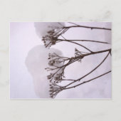 Winterschnee Foto Postkarte (Vorderseite)