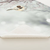 Winterschnee Frost Chickadee Bird Sherpadecke (3/4)