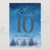 Winterschnee Hochzeit Tischnummer (Vorderseite)