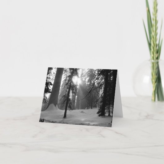 Winterschnee im Kings Canyon Nationalpark (Vorderseite)