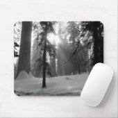 Winterschnee im Kings Canyon Nationalpark Mousepad (Mit Mouse)