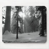 Winterschnee im Kings Canyon Nationalpark Mousepad (Vorne)