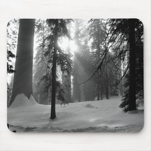 Winterschnee im Kings Canyon Nationalpark Mousepad (Vorne)