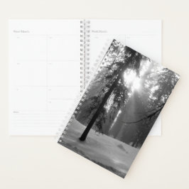 Winterschnee im Kings Canyon Nationalpark Planer