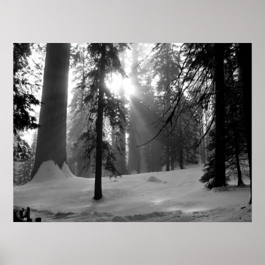 Winterschnee im Kings Canyon Nationalpark Poster (Vorne)