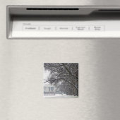 Winterschnee im Lincoln Magnet (In Situ (Geschirrspüler))