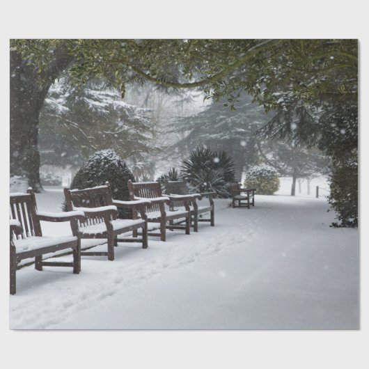 Winterschnee im Park Geschenkpapier (Flach)