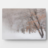 Winterschnee | Kussharo-See Fotoplatte (Vorderseite)